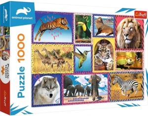 PUZZLE 1000 DZIKA NATURA