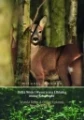 Delta-Wisly-i-Wysoczyzna-Elblaska-oczami-Irlandczyka-Michael-Gannon.webp