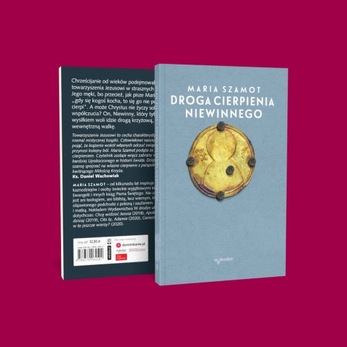 DROGA CIERPIENIA NIEWINNEGO.jpg