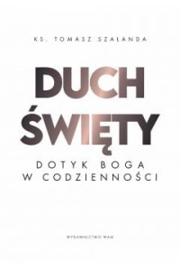 DUCH ŚWIETY.DOTYK BOGA W CODZIENNOŚCI