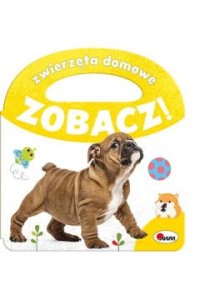 ZOBACZ ZWIERZĘTA DOMOWE