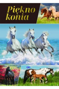 PIĘKNO KONIA