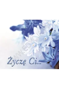 PEREŁKI-ŻYCZĘ CI..