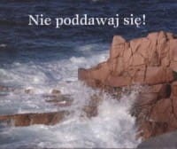 nie-poddawaj-sie-praca-zbiorowa,225922-s.jpg