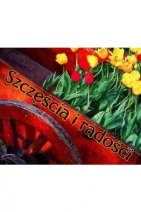 PEREŁKI-SZCZĘŚCIA I RADOŚCI