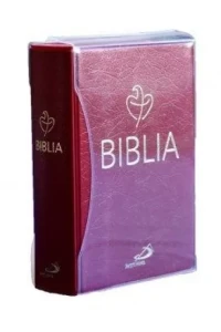 BIBLIA TABOR PCV BORDO