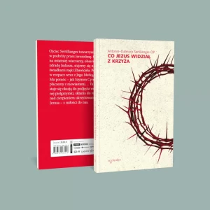 CO JEZUS WIDZIAŁ Z KRZYŻA