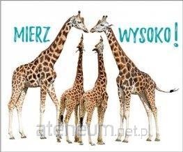 PEREŁKI-MIERZ WYSOKO