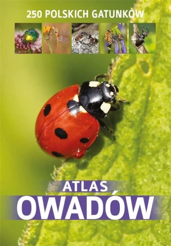 i-atlas-owadow.webp