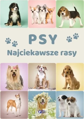 psy-najciekawsze-rasy-155396.webp