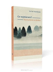 CO WYBIERAM?ROZMYSLANIA W DRODZE