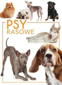 PSY RASOWE