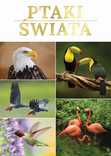 ptaki-swiata-209745.webp