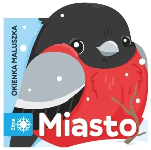 OKIENKA MALUSZKA.MIASTO