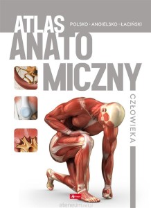ATLAS ANATOMICZNY CZŁOWIEKA POLSKO-ANGIELSKO-ŁACIŃSKI