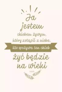 NOWY TESTAMENT Z ORTOGRAFIKAMII KOMUNIA WERSJA SREBRNA